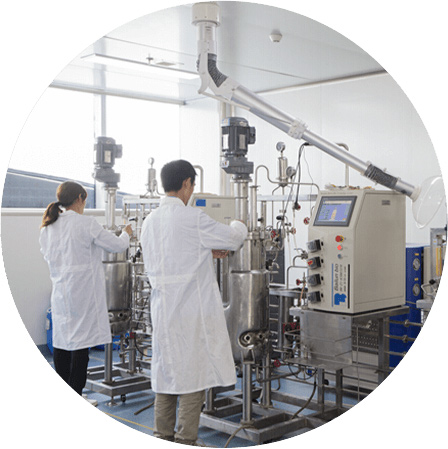 技術(shù)優(yōu)勢(shì) 技術(shù)優(yōu)勢(shì)